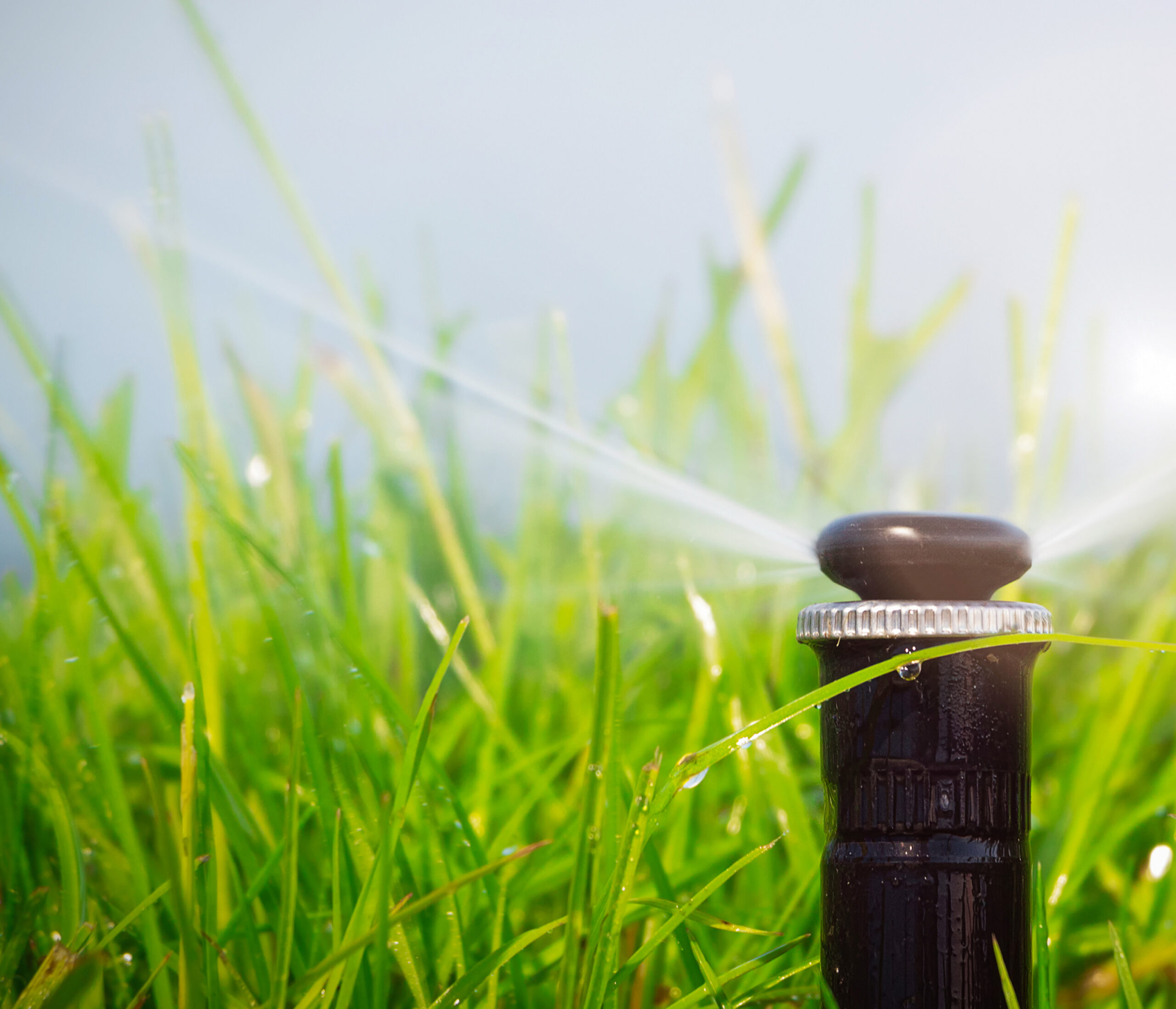 irrigation design overview